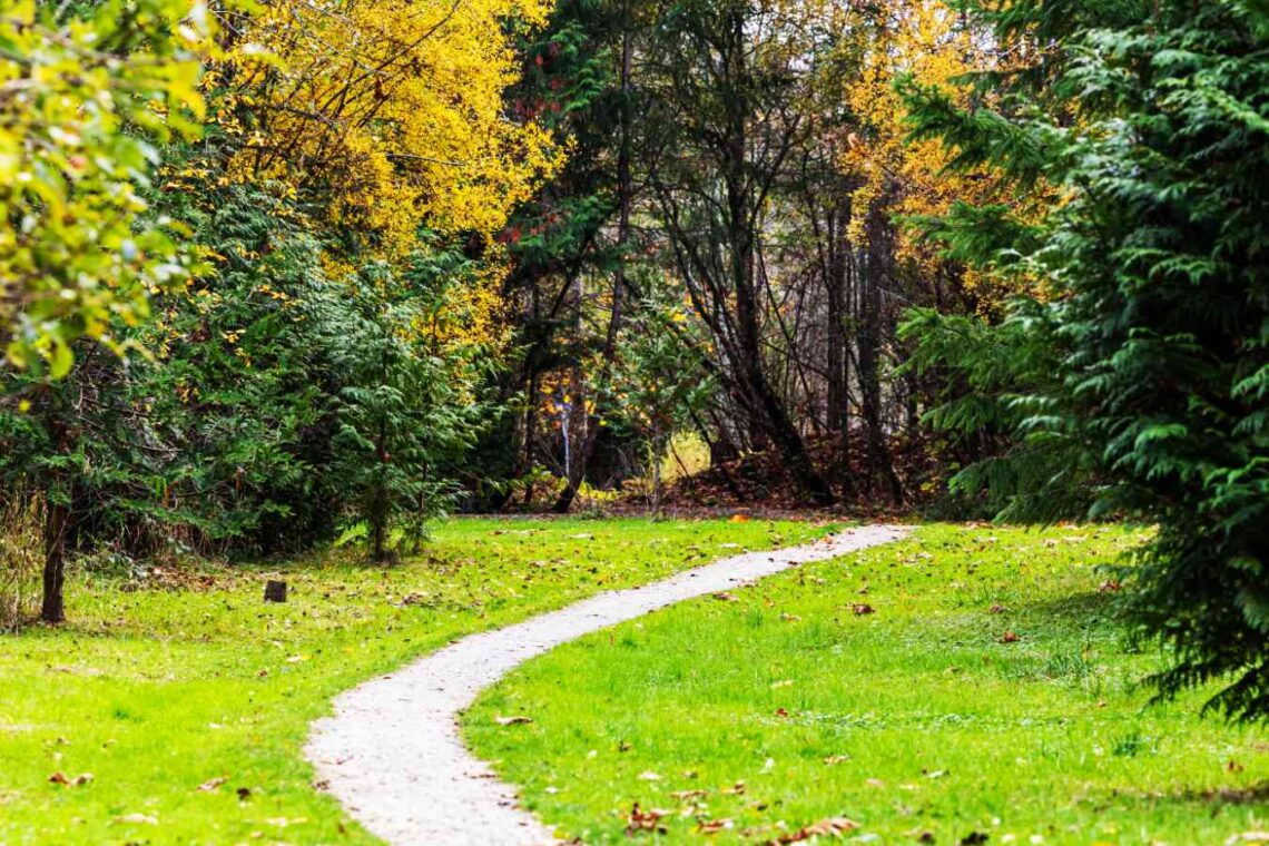 Your Own Path